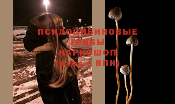 соль ск Дрезна