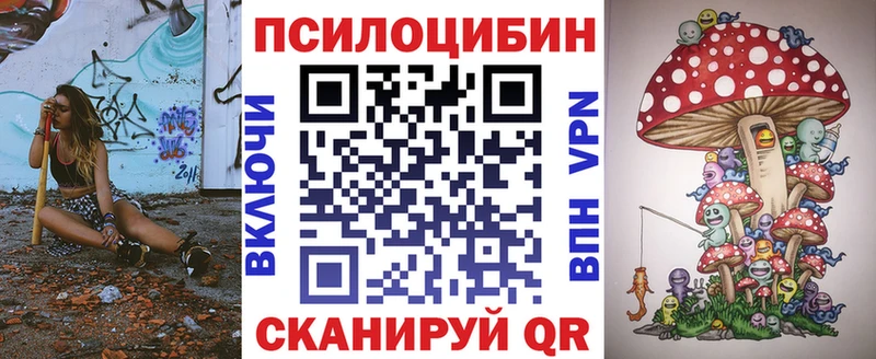 Псилоцибиновые грибы Psilocybine cubensis  Серафимович 